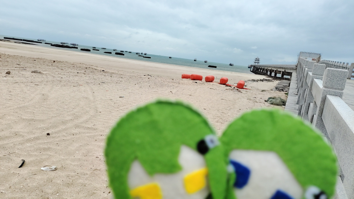 在海边思索良久